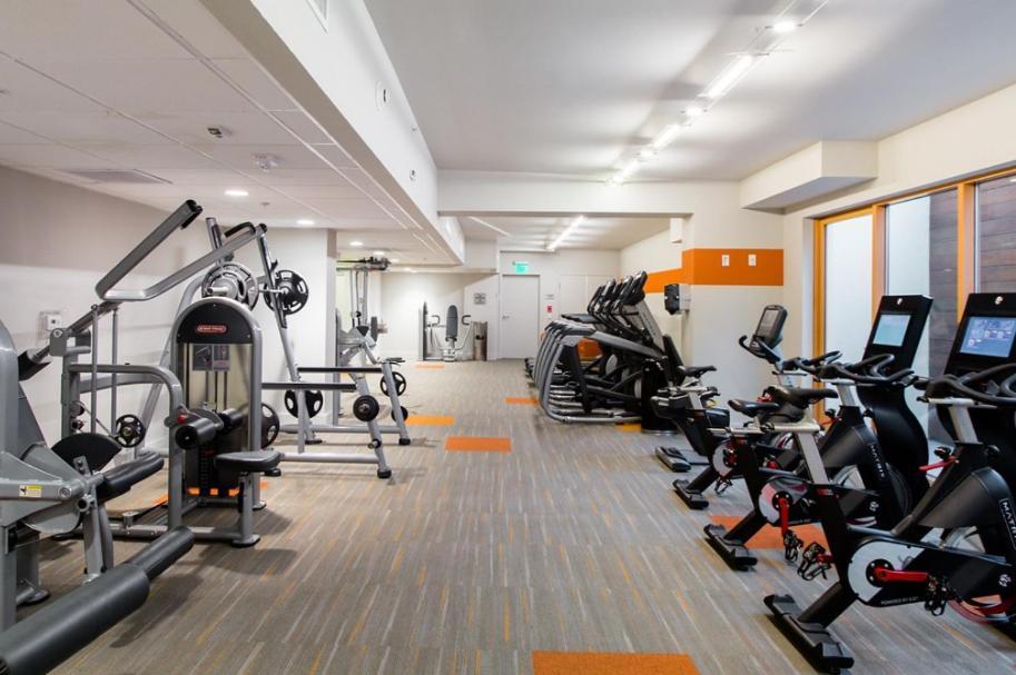 Large 2 Bed -2 Bath On Wilshire Corridor - S Apartment *
